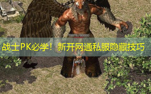 战士PK必学!新开网通私服隐藏技巧
