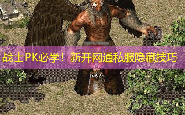 战士PK必学!新开网通私服隐藏技巧 战士PK必学!新开网通私服隐藏技巧