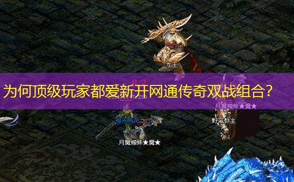 为何顶级玩家都爱新开网通传奇双战组合?