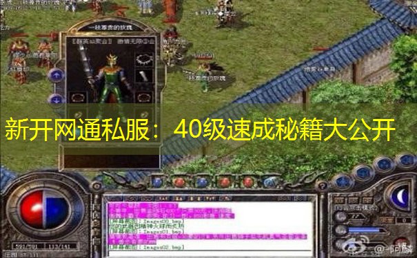 新开网通私服:40级速成秘籍大公开