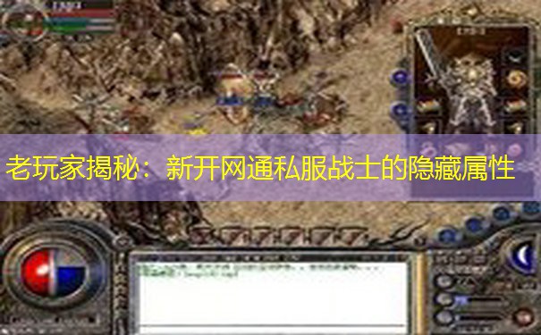 老玩家揭秘:新开网通私服战士的隐藏属性 老玩家揭秘:新开网通私服战士的隐藏属性