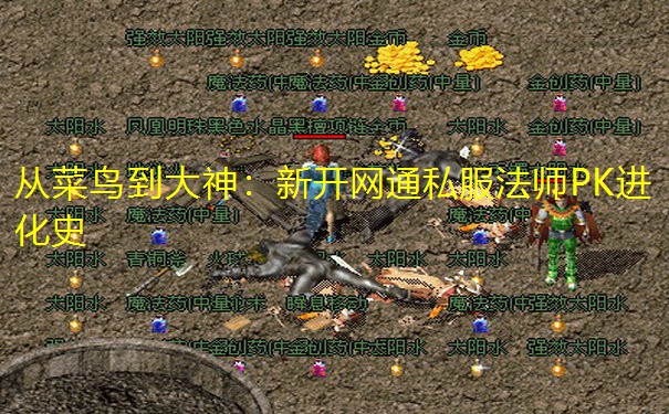 从菜鸟到大神:新开网通私服法师PK进化史