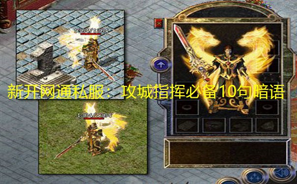 新开网通私服:攻城指挥必备10句暗语 新开网通私服:攻城指挥必备10句暗语