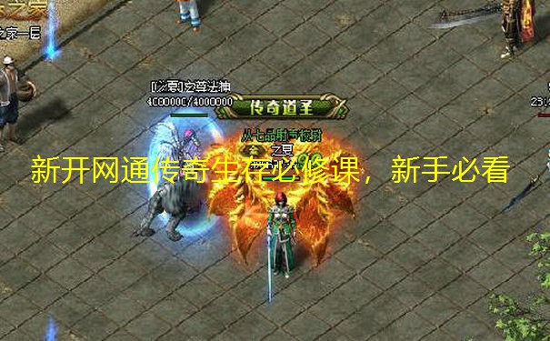 新开网通传奇生存必修课,新手必看 新开网通传奇生存必修课,新手必看