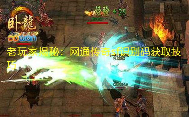 老玩家揭秘:网通传奇sf识别码获取技巧