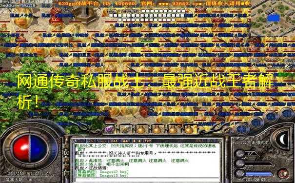 网通传奇私服战士：最强近战王者解析！