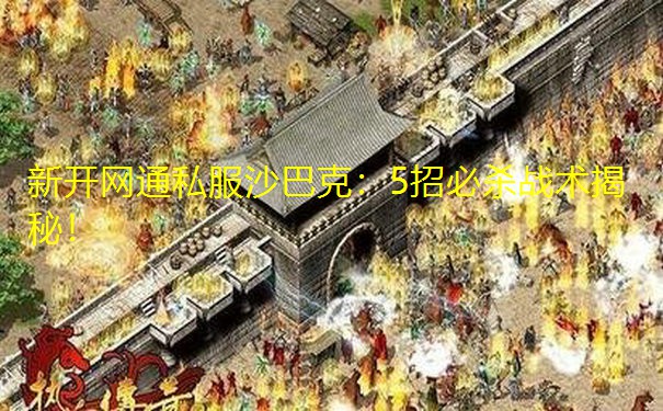 新开网通私服沙巴克:5招必杀战术揭秘!