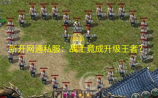 新开网通私服:战士竟成升级王者?