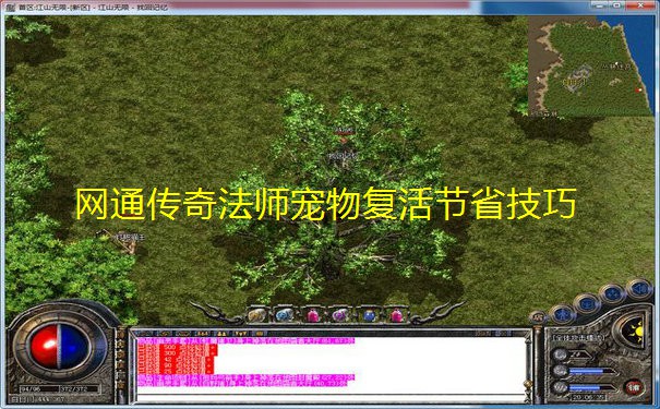 网通传奇法师宠物复活节省技巧
