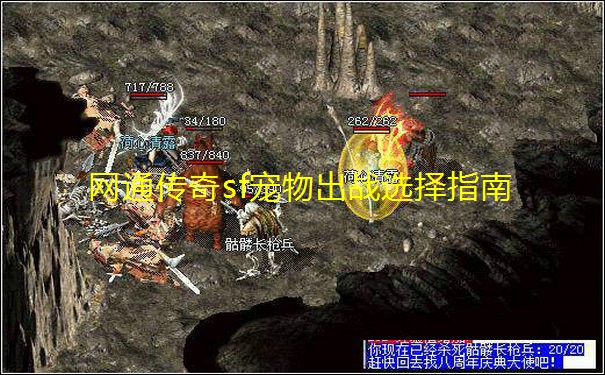 网通传奇sf宠物出战选择指南